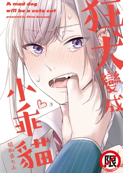 封面