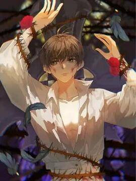 封面