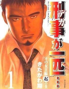 封面